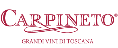 Carpineto, i “pignoli del vino” tra sostenibilità e innovazione