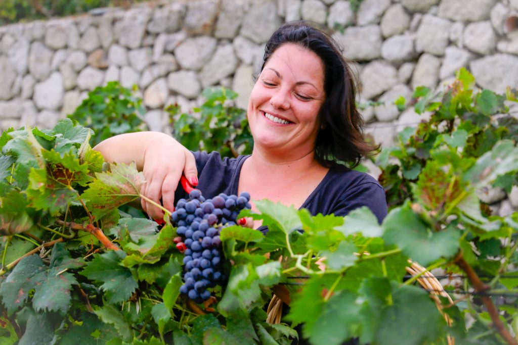Cantina Tommasone: come fare vino d’eccellenza a Ischia
