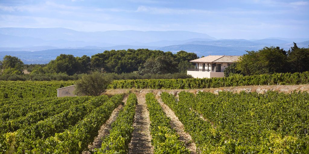 Jean Claude Mas: il vigneron che sogna la nuova Languedoc