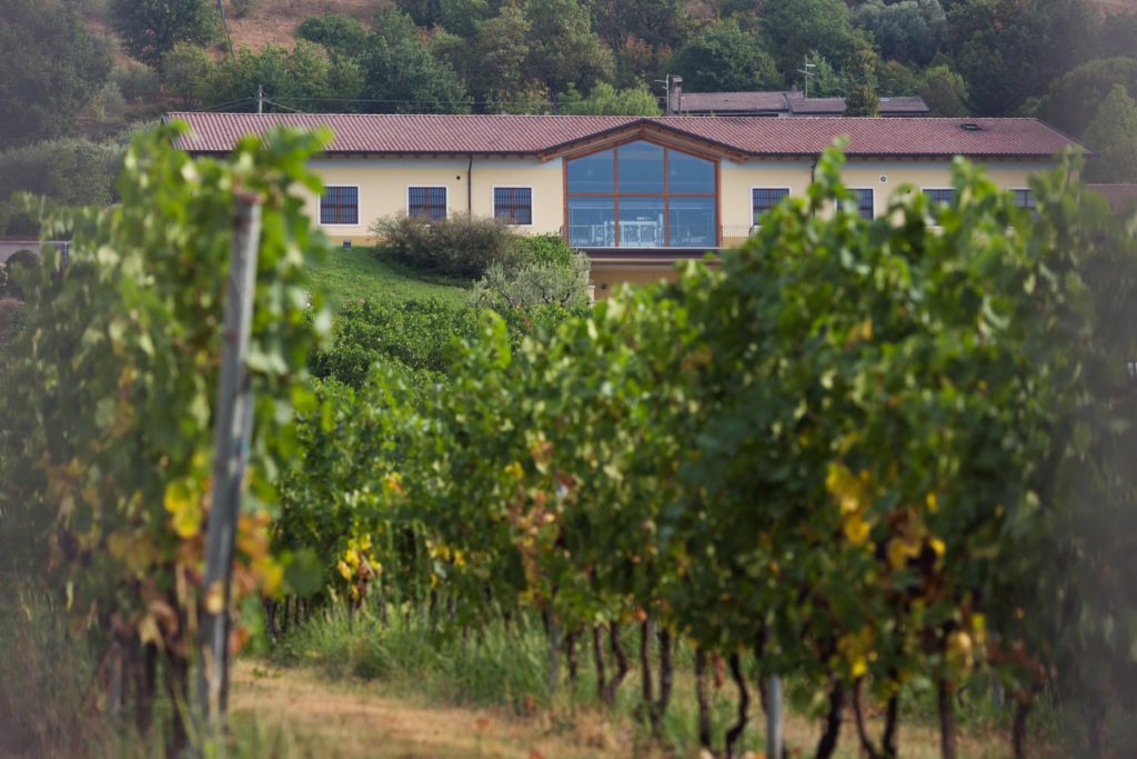 Monte Zovo, esperienze oltre il vino: al via degustazioni uniche e visite da vivere appieno